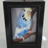 Photobox - Image 3