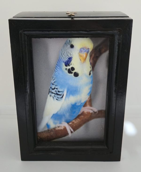 Photobox - Image 3
