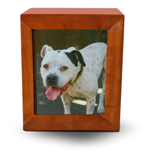 Natural Photo Urn